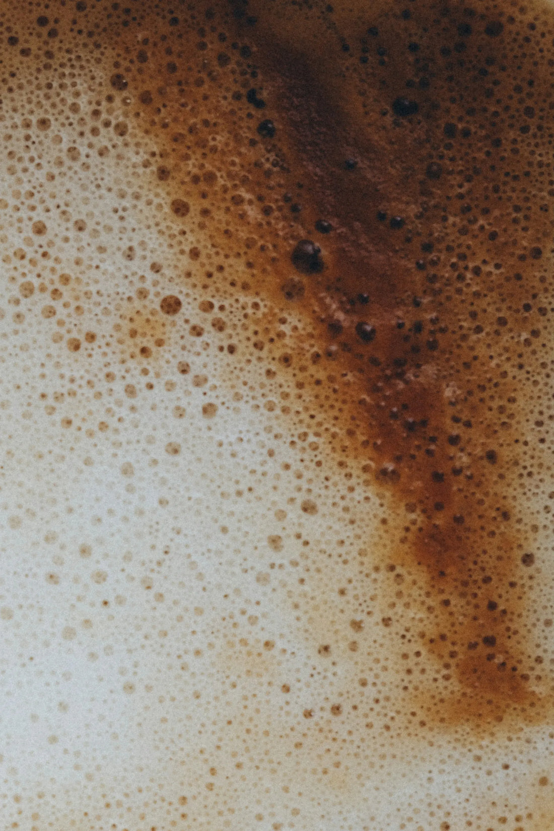 How to Steam Milk for Coffee: The Scorgo Guide to Microfoam