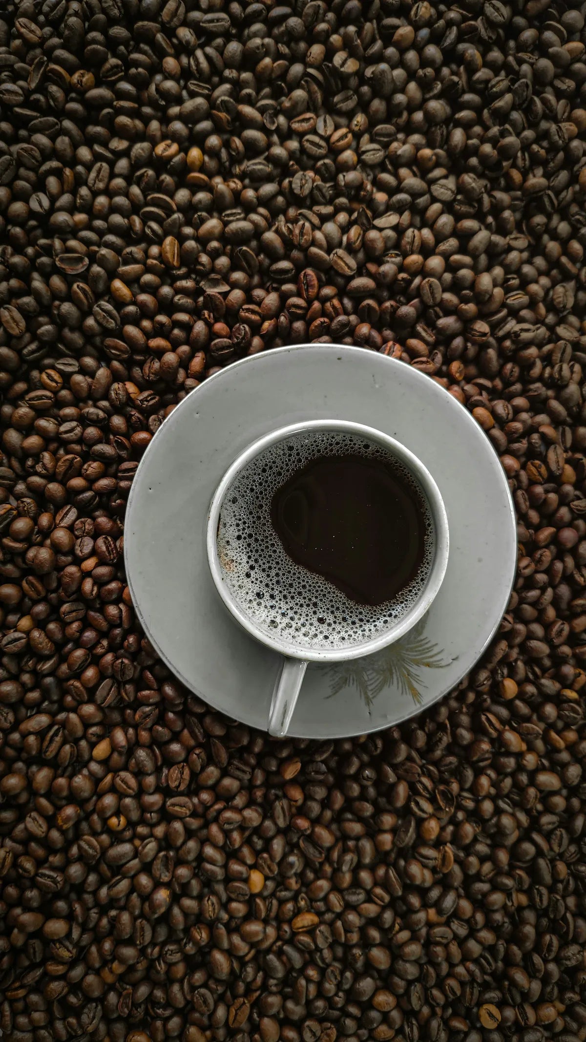 Coffee beans and ground coffee freshly roasted and free delivery in the UK. Americano, latte, espresso, decaf coffee beans.