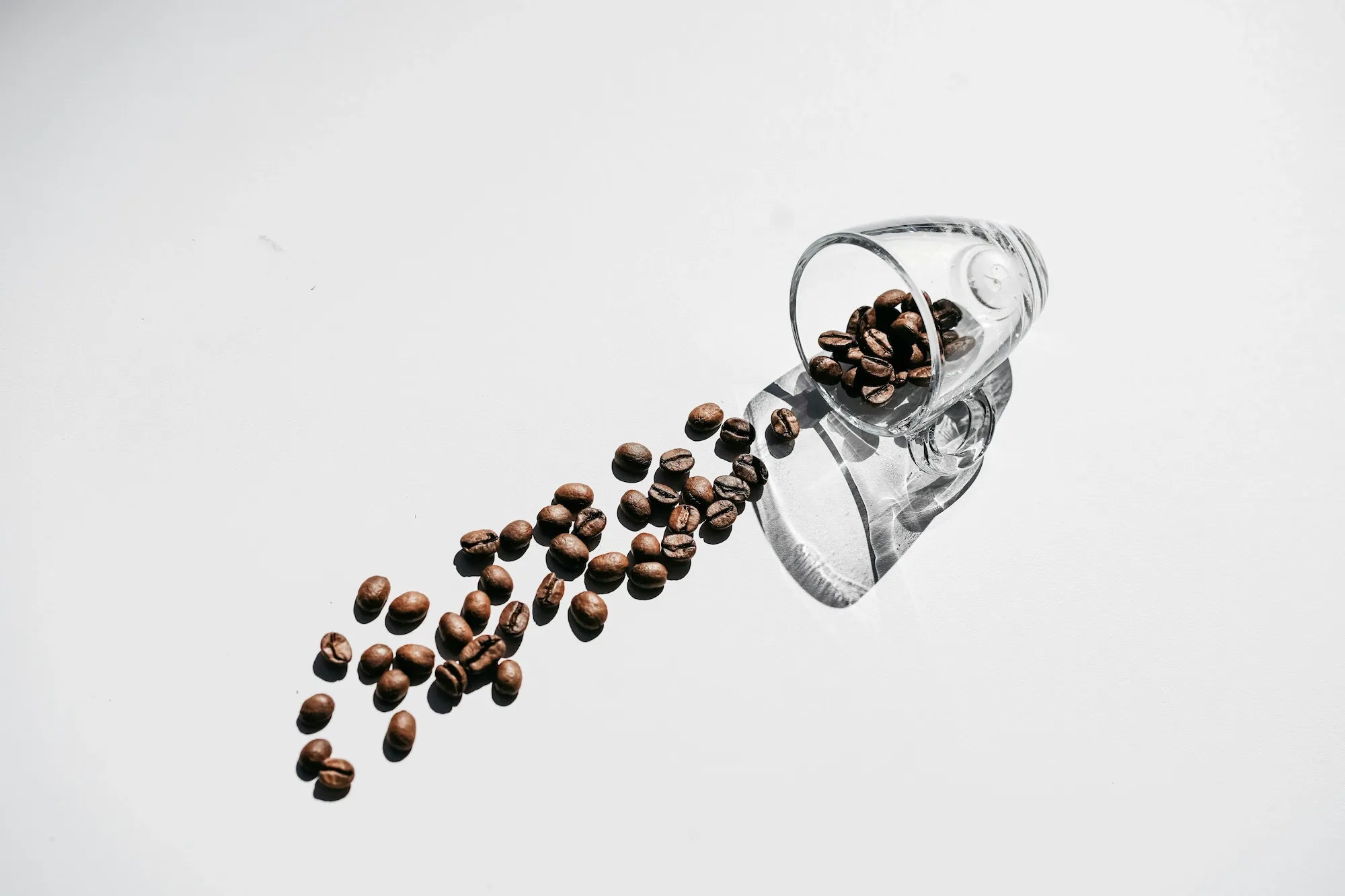 Ethically sourced cost effective coffee beans freshly roasted by family run UK based roastery.